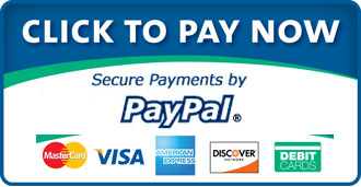 Make a Payment via PayPal